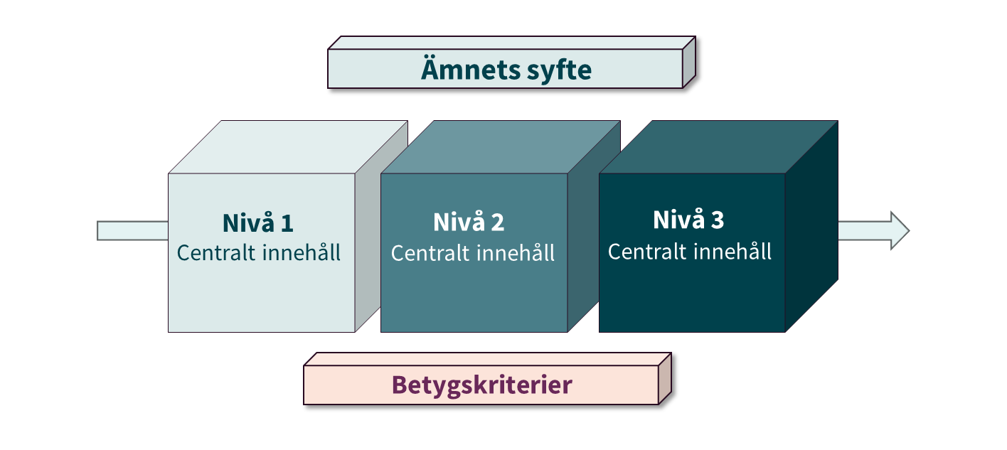 Tidslinje som visar viktiga datum för ansökan och antagning till gymnasiet